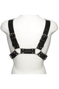 Harness Anteros