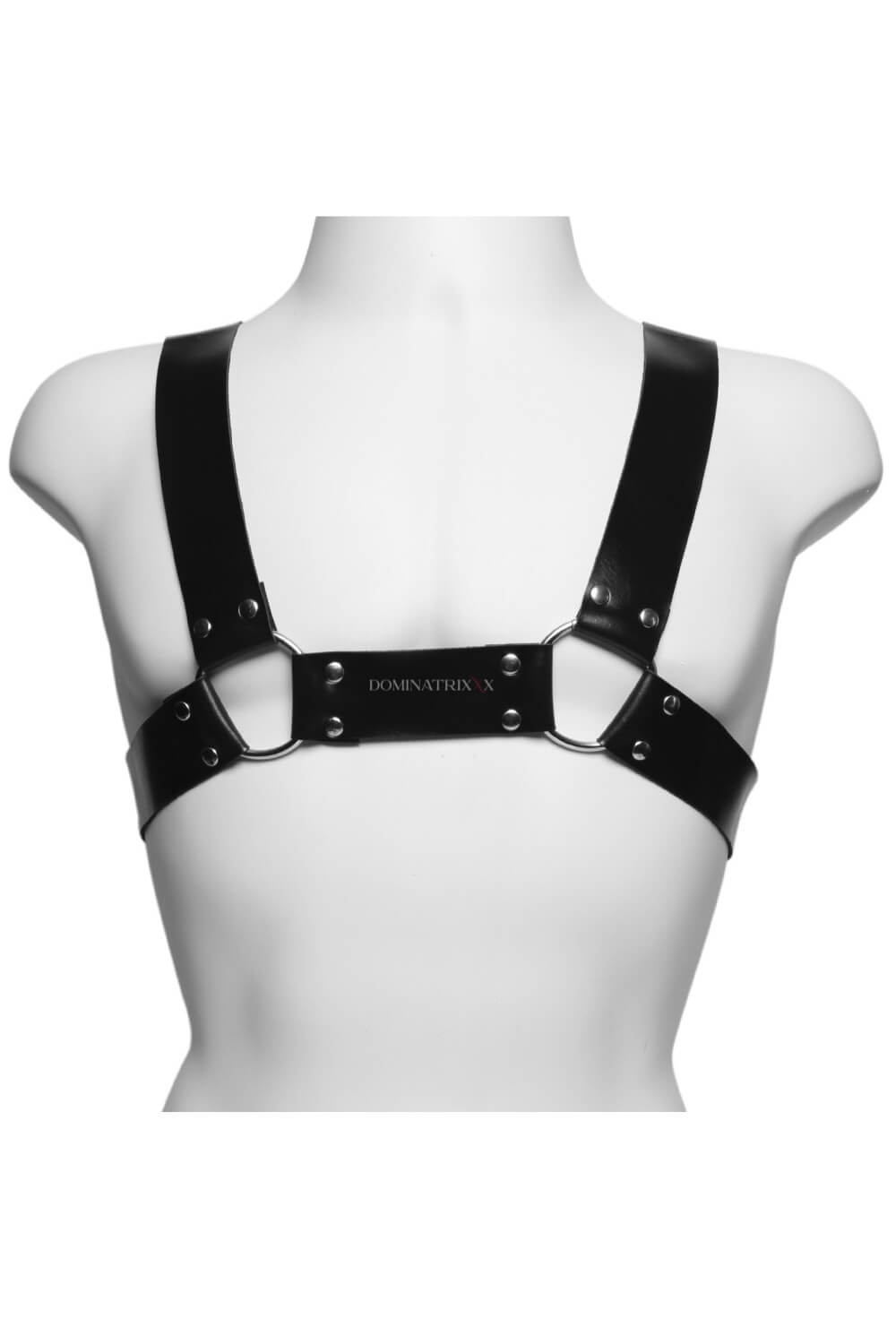 Harness Aquiles