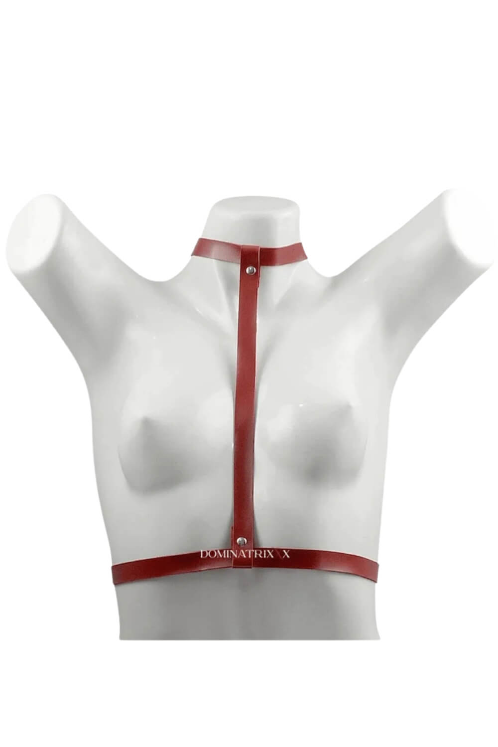 Harness Electra