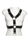 Harness Spartacus