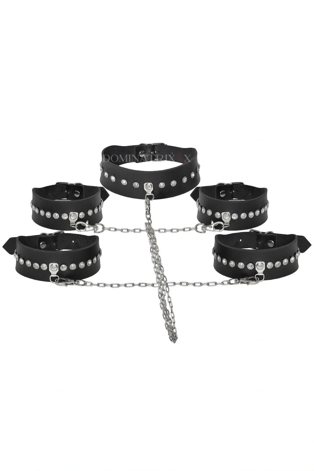PRINCESS Restriction Set