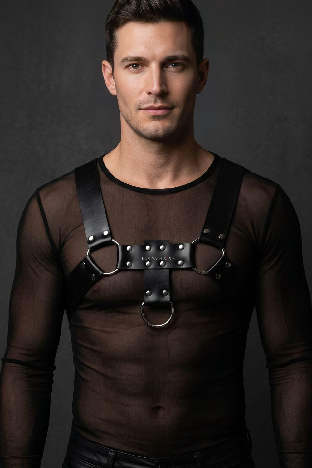 Harness Hércules