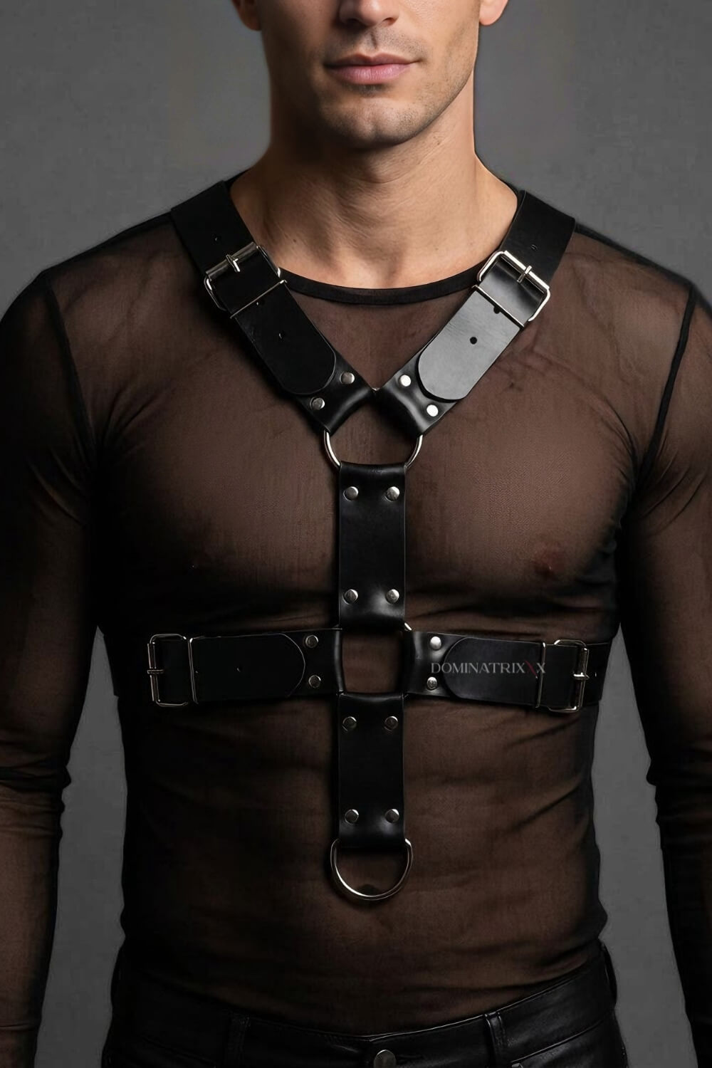 Harness Spartacus