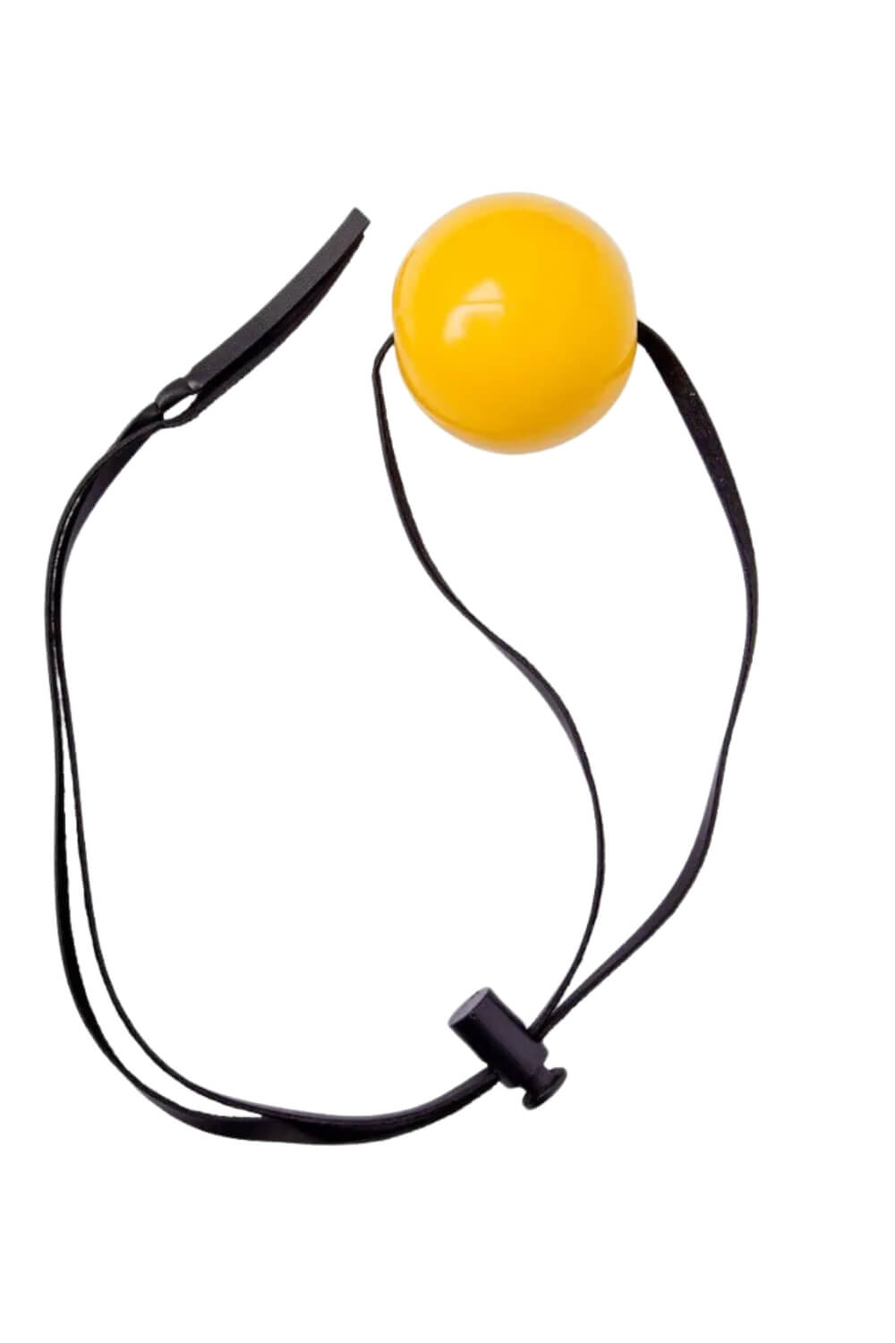 Dominatrix Ball Gag