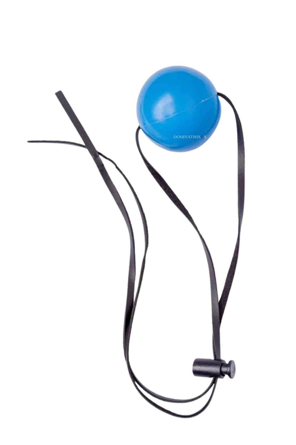 Dominatrix Ball Gag